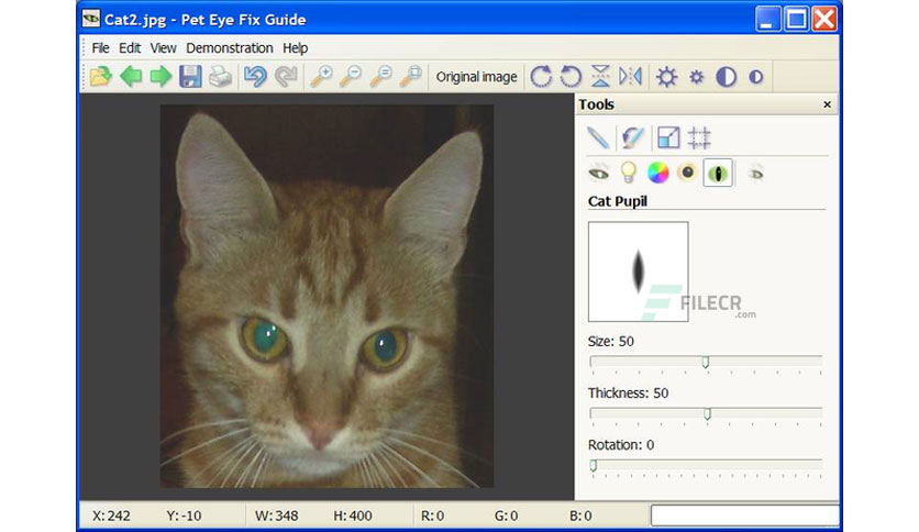 Tintguide Pet Eye Fix Guide Crack